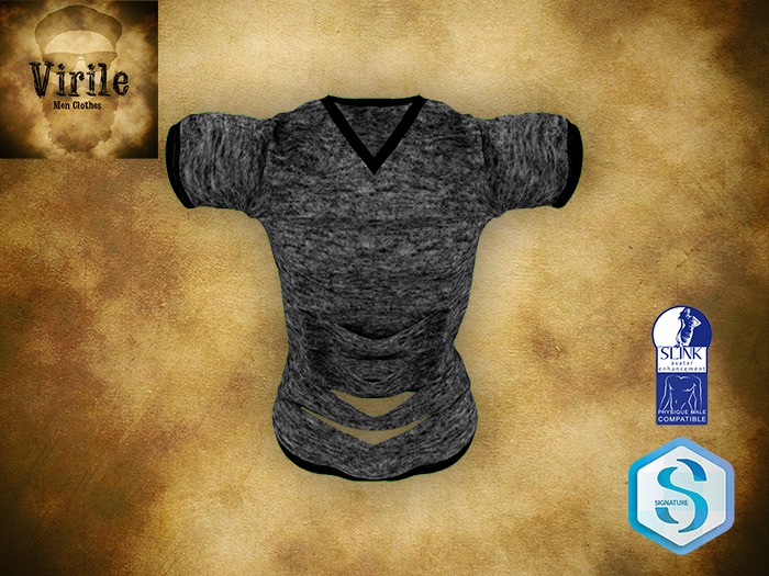 .::VIRILE::. Ripped TShirt - Dark
