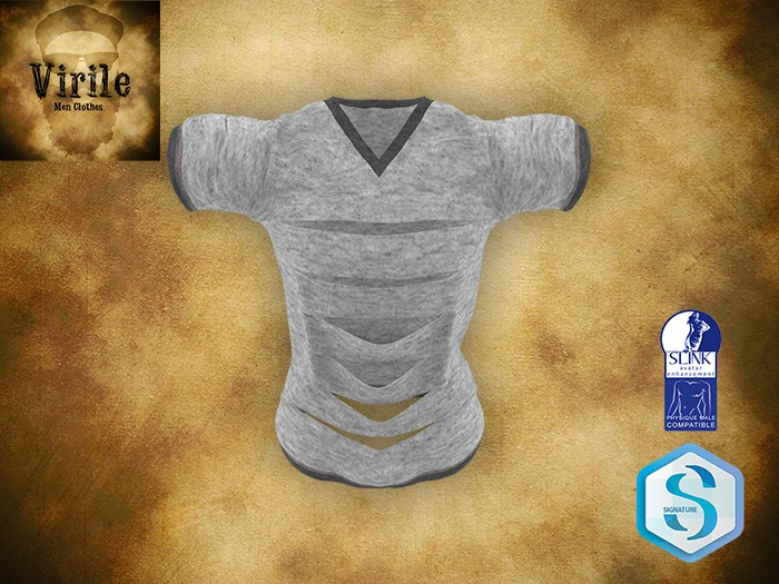 .::VIRILE::. Ripped TShirt - Gray