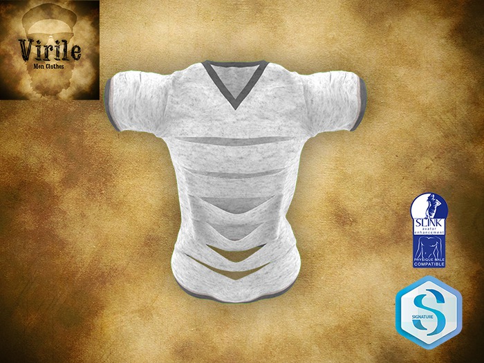 .::VIRILE::. Ripped TShirt - White