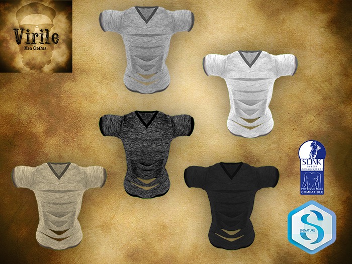 .::VIRILE::. Ripped TShirt - FAT PACK