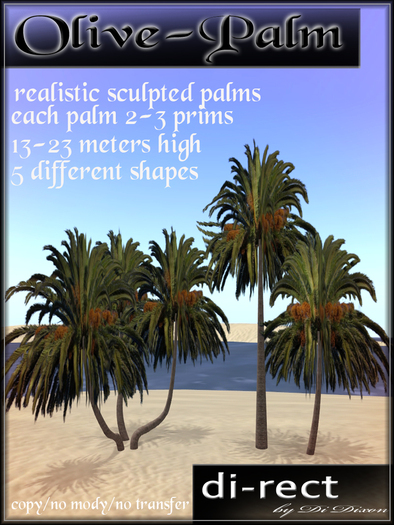 Olive-Palm