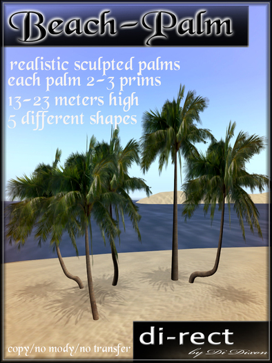 Beach-Palm