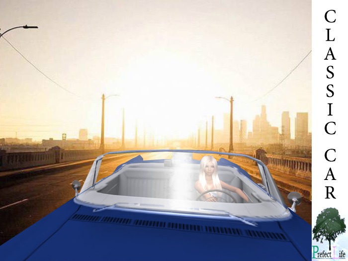 PrefectLife Classic Car