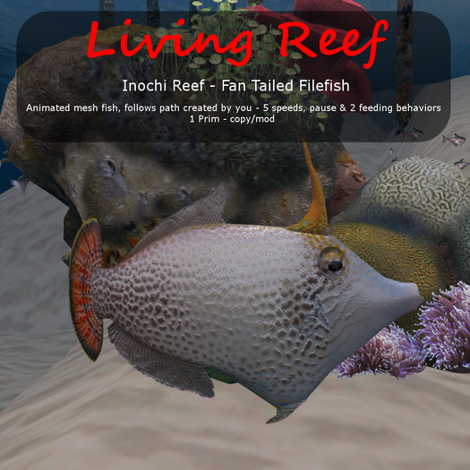 Inochi Reef : Mesh Fish - Fan Tailed Filefish