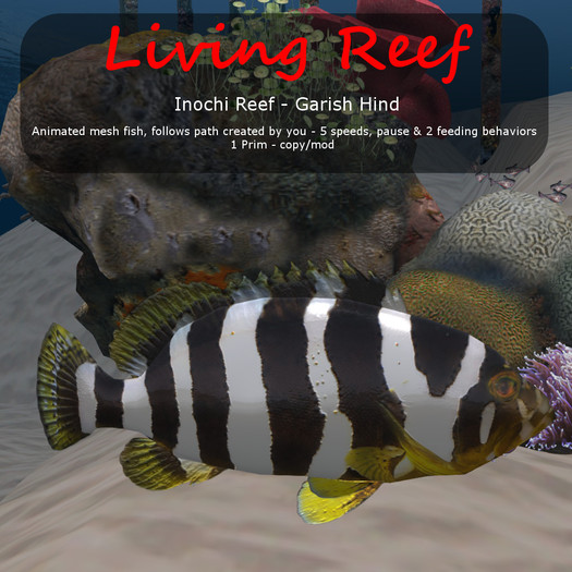 Inochi Reef : Mesh Fish - Garish Hind