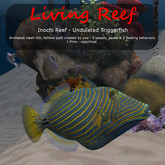 Inochi Reef : Mesh Fish - Undulated Triggerfish