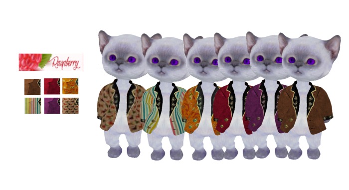 D CIRCUS JACKET 6 color