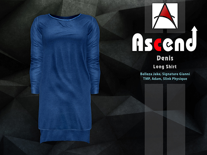 /Ascend/ Denis Long Shirt - Royal Blue