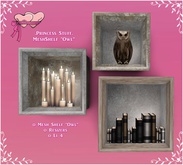 .Princess Stuff. Wallshelf [Decor "Owl"][Boxed]