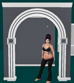 DAKOTA DESIGNS MESH INTERIOR WALLS WITH MOLDING FULL PERMS