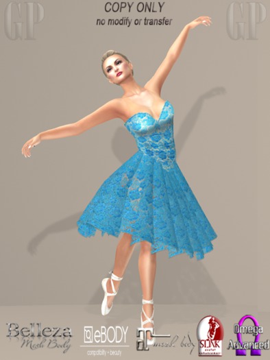 Blue Roses Corset Demo