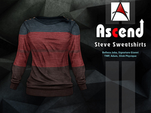 / Ascend / Steve SweatShirt - Strip 4