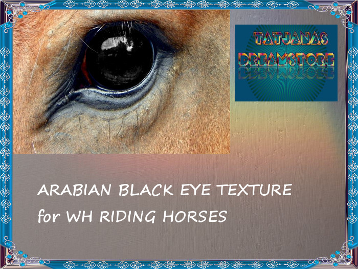 Waterhorse Riding Arabian Eye BLACK