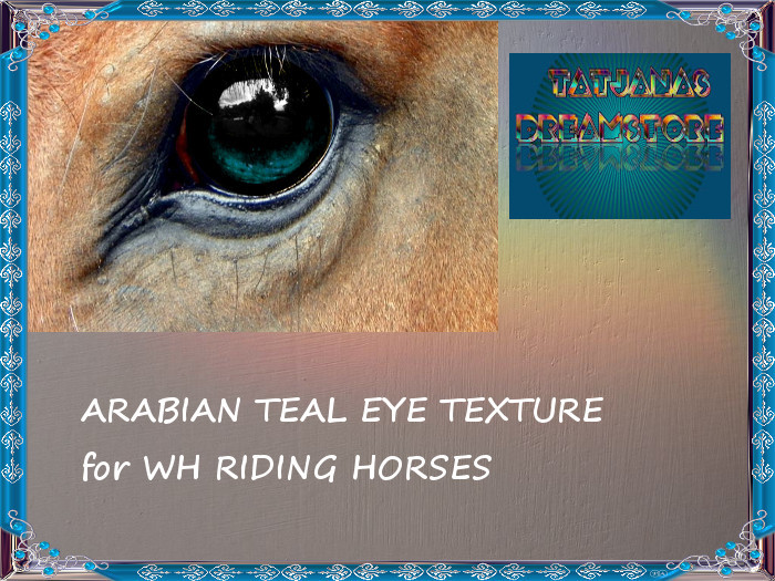Waterhorse Riding Arabian Eye TEAL