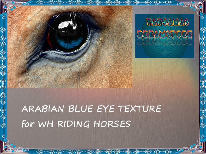 Waterhorse Riding Arabian Eye BLUE