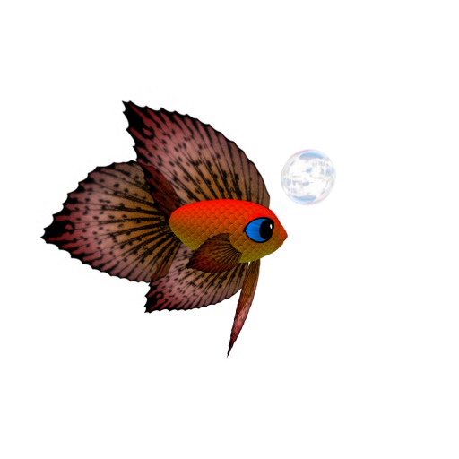 (7S) Uncommon Fish: Red Betta