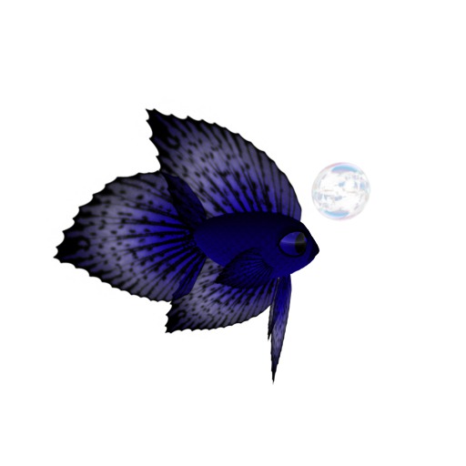 (7S) UltraRare Fish: Jewel Shift Betta