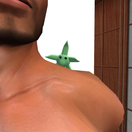 (7S) Rare Stuff: Shift Starfish