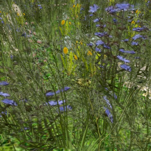 Meadow Flowers 9
