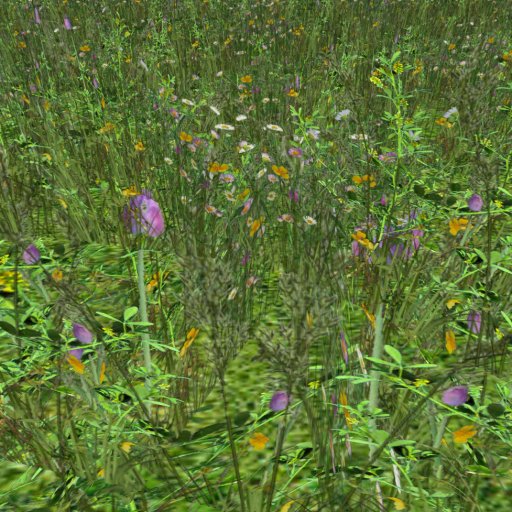 Meadow Flowers 8