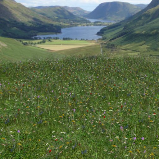 Meadow Flowers 4