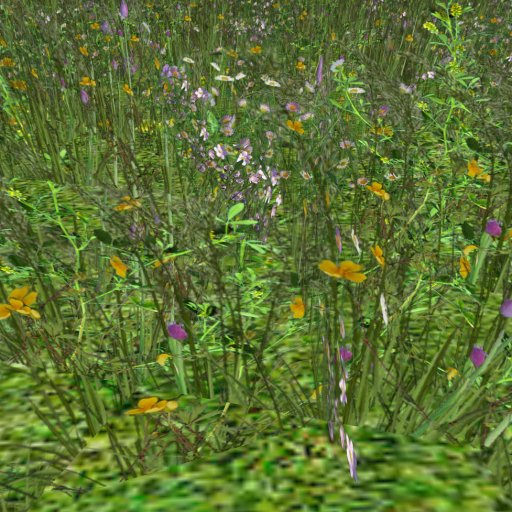 Meadow Flowers 3