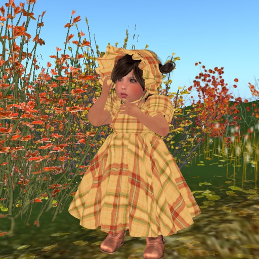 OLD WEST LITTLE ONES DRESS {HARVEST HOME PLAID 5}BOXED
