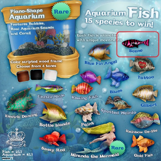 (Yummy) Scene Fish (Wear me! Open Me!)