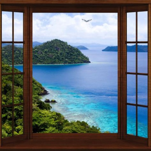 window 