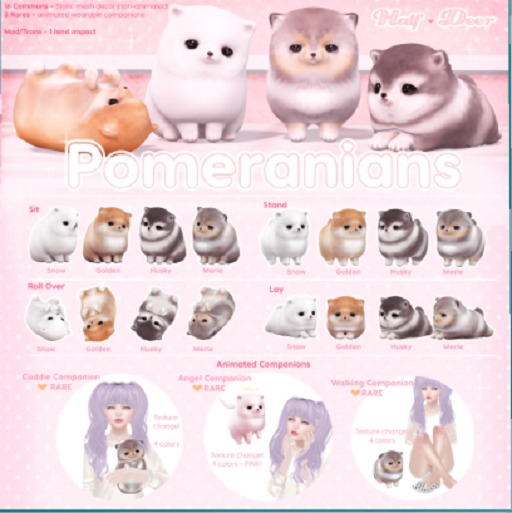 +Half-Deer+ Pomeranian - Stand [Merle]