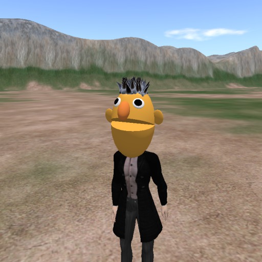 Bert head