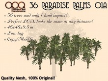 OPQ 36 Paradise Palms 01a (CM)