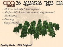 OPQ 36 Sassafras Trees 01a (CM)