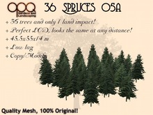 OPQ 36 Spruces 05a (CM)