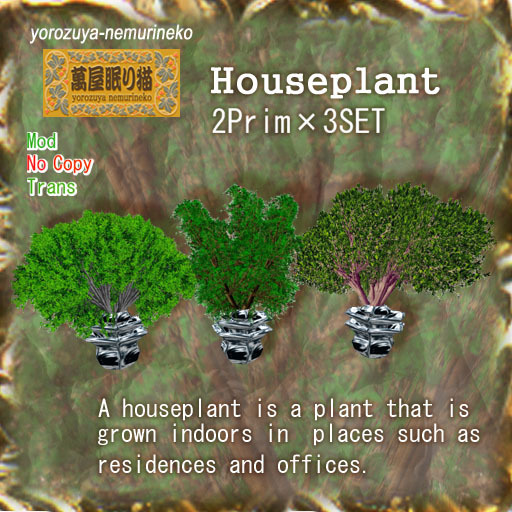 Houseplant / 2prim 3SET (transfer)