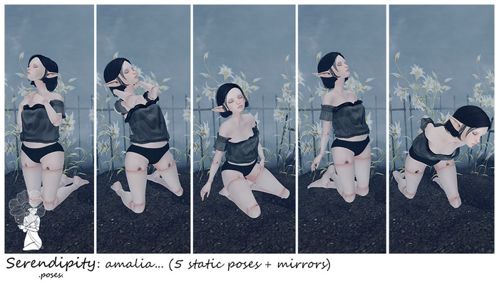 Serendipity: amalia...