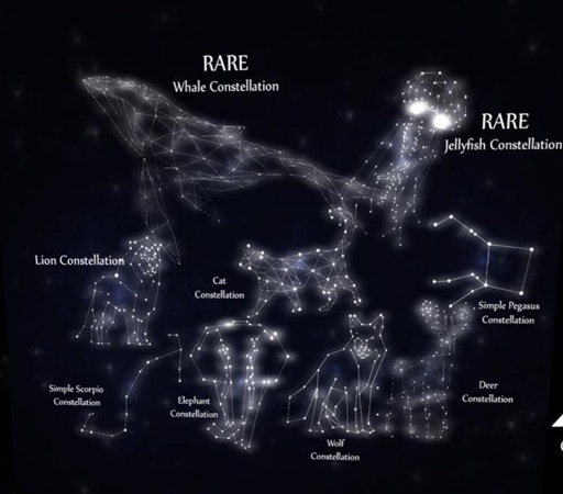 -ATTIC- Elephant Constellation