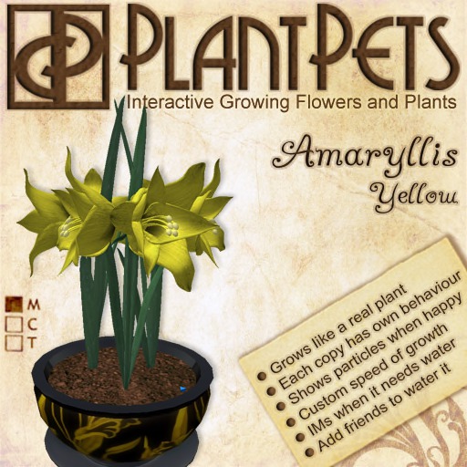 PlantPet Seed [Amaryllis *Big Yellow*]