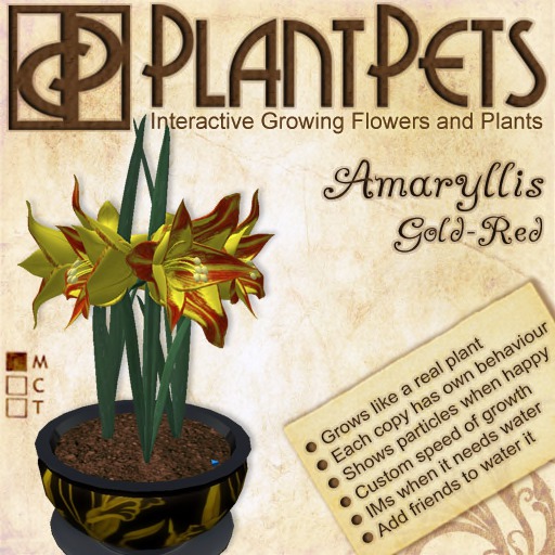 PlantPet Seed [Amaryllis *Big Gold-Red*]