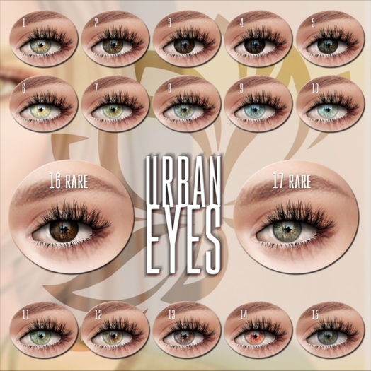 LOTUS. Urban Eyes 02 BOX