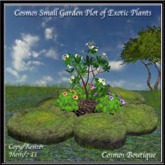 Cosmos Small Garden Plot of Exotic Plants (BOX)