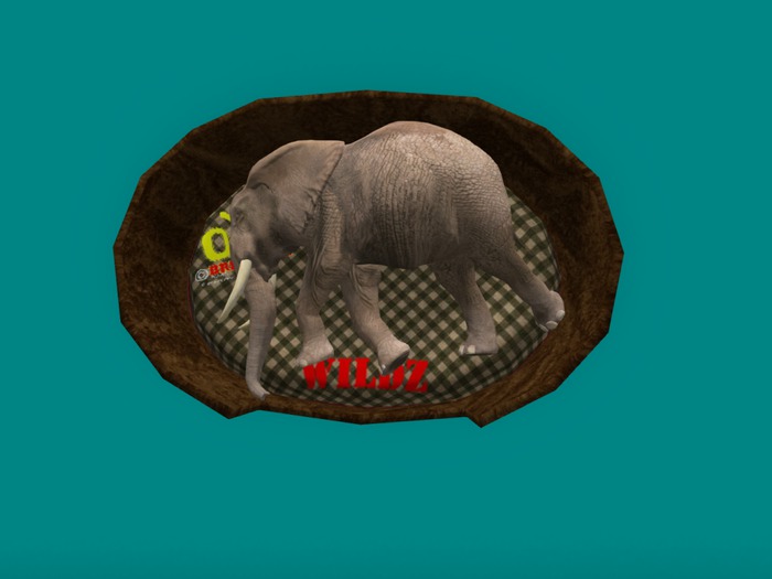 oYo Bundle - Male Brown Elephant