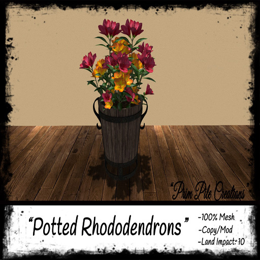 ~PPC~ Potted Rhododendrons  