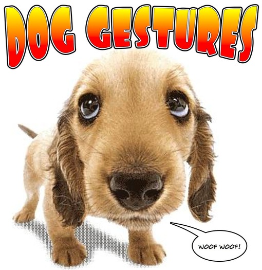 Dog Gestures (Boxed)