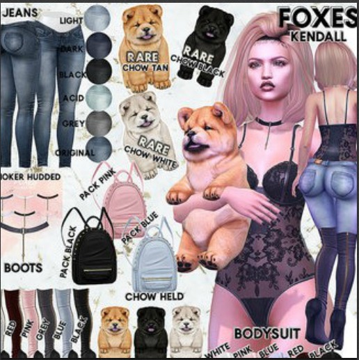 Foxes - Kendall - ChowChow - Held - Black