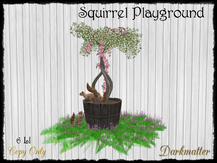 Squirrel Playground - Boxed