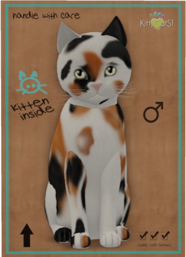 KittyCatS Box - Chateau Cat - 3 Spot No. 1