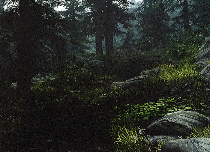 nature forest -(silk)