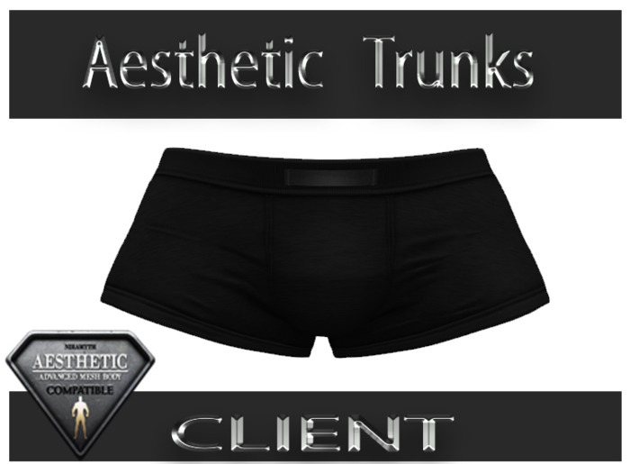 Mesh Boxer for Aesthetic  black