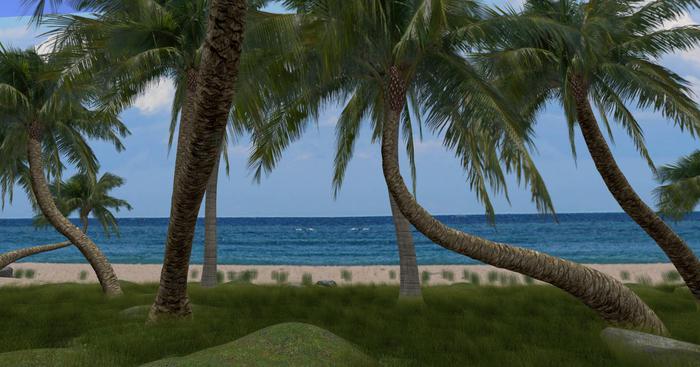 ::: Desert Island :::